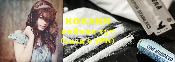 спиды Богданович