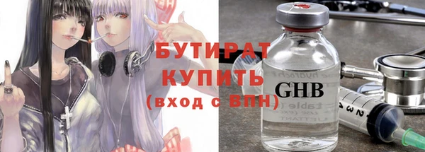 индика Богородицк