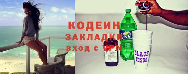 индика Богородицк
