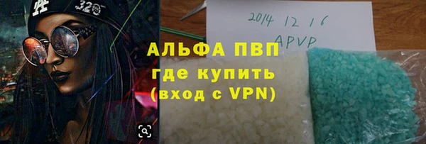 индика Богородицк