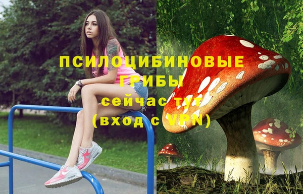прущая мука Белоозёрский