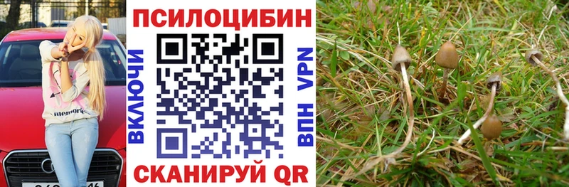 Галлюциногенные грибы ЛСД  дарнет шоп  Кондопога 